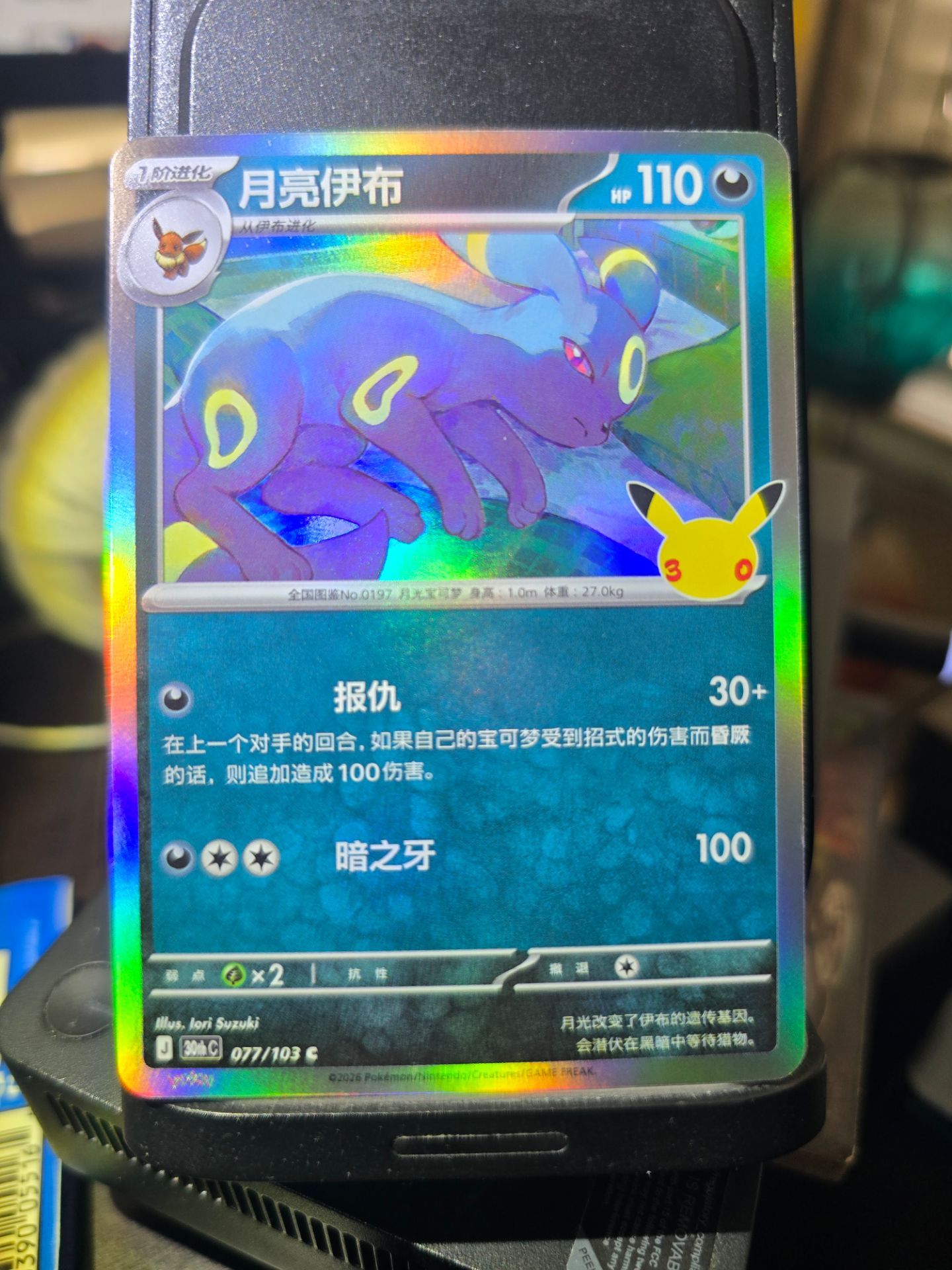 Image #1