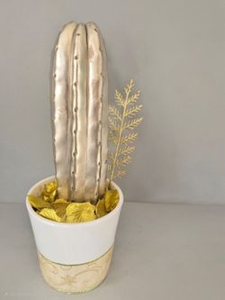✨ Sparkle Cactus — Live Metallic Cactus ✨