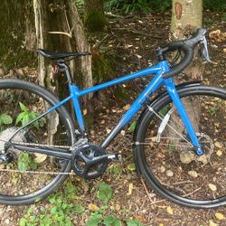 Female LIV bike compact road bike XS3 like brand new