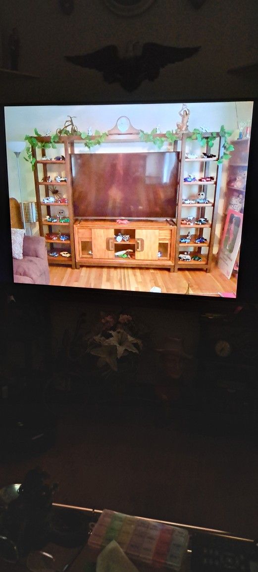 Entertainment Center 