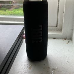 JBL Flip 6