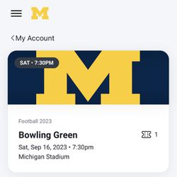 University of Michigan vs Bowling Green football game