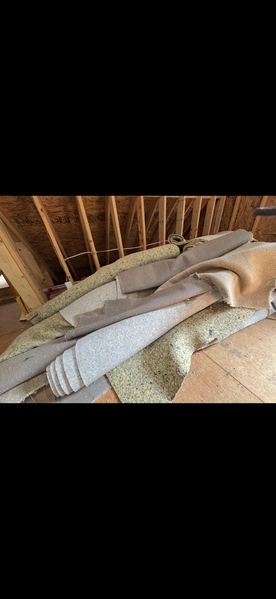 Brand New Carpet + Pad About 2000 Ft.²
