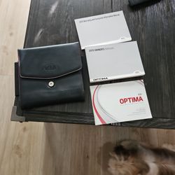 2015 Kia Owners Manual