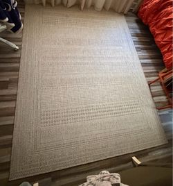 Indoor/Outdoor Area Rug in Khaki