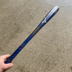 Mizuno Bat