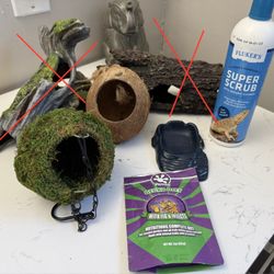 Reptile Supplies  Geckos Lizard 