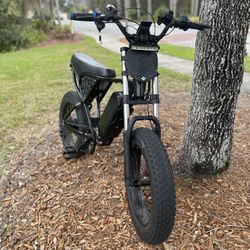 Ridstar q20 1500w (buy only)