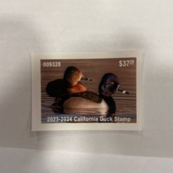 California Duck Stamp