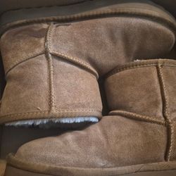 Bearpaw Uggs 