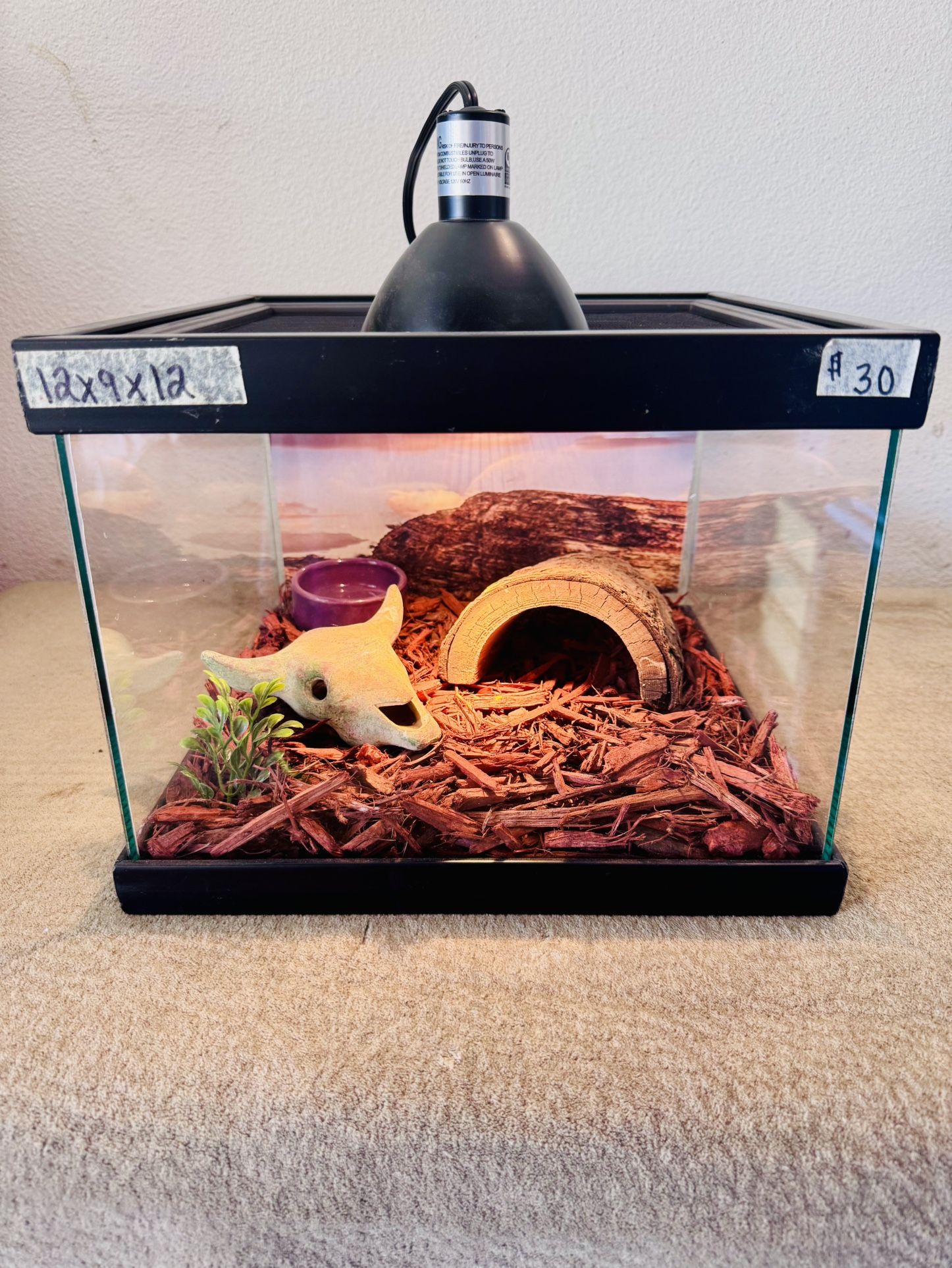 Reptile Habitat