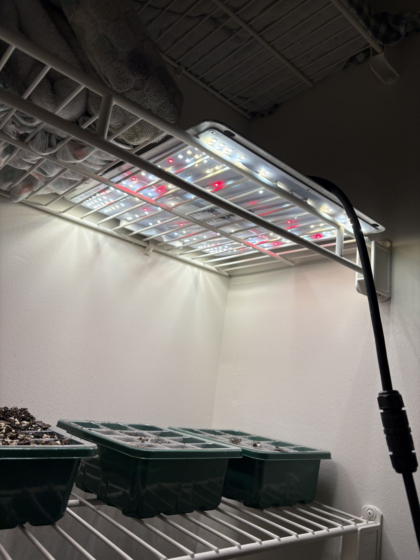 Full Spectrum Spider Farmer Grow Light