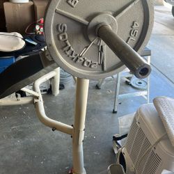 Olympic Weight Bench 