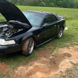 2003 Ford Mustang