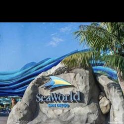 two tickets to seaworld good for one day   12/31/25 is the due day $45  each