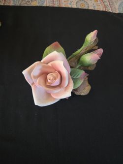 Porcelain Rose