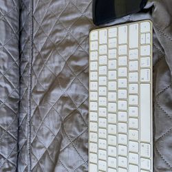 Apple Keyboard Mouse 