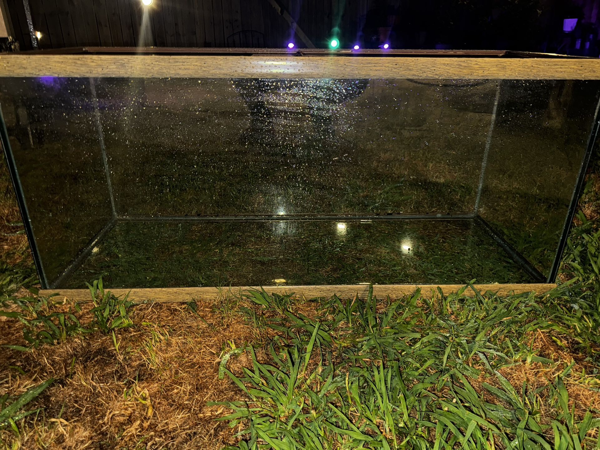 75 Gallon Tank