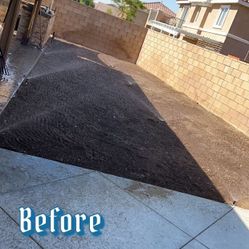 Fresh Grass Good Prices 