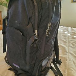 Patagonia Backpack 