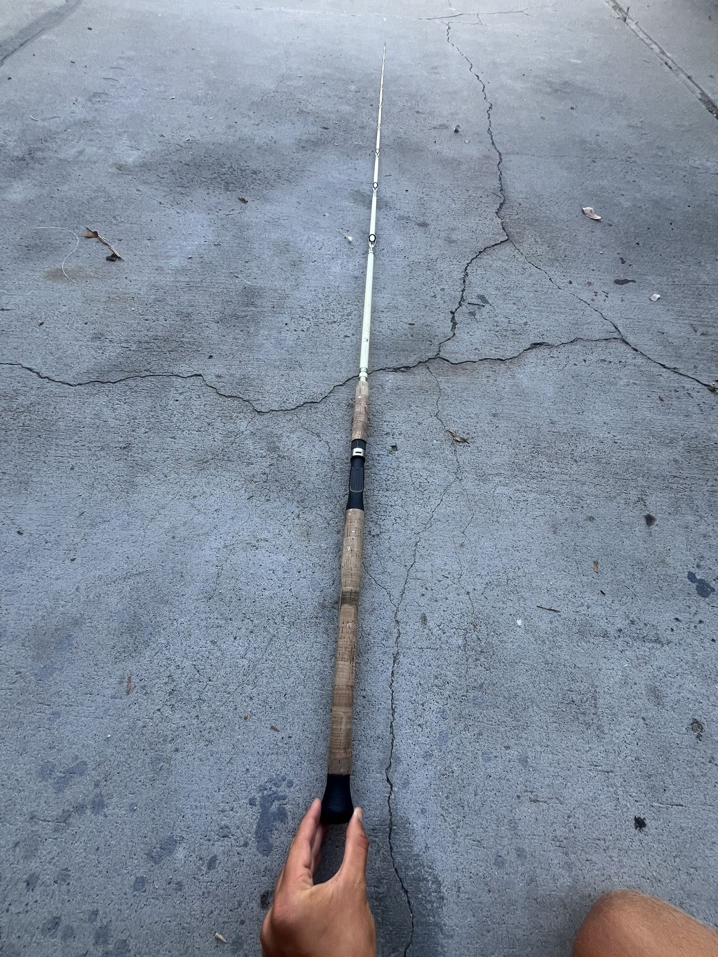 Shimano Terez Waxwing (Pearl White)