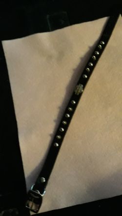 Harley Davidson shield dog collar