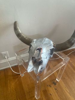 Painted Longhorn Skull on Lucite Stand