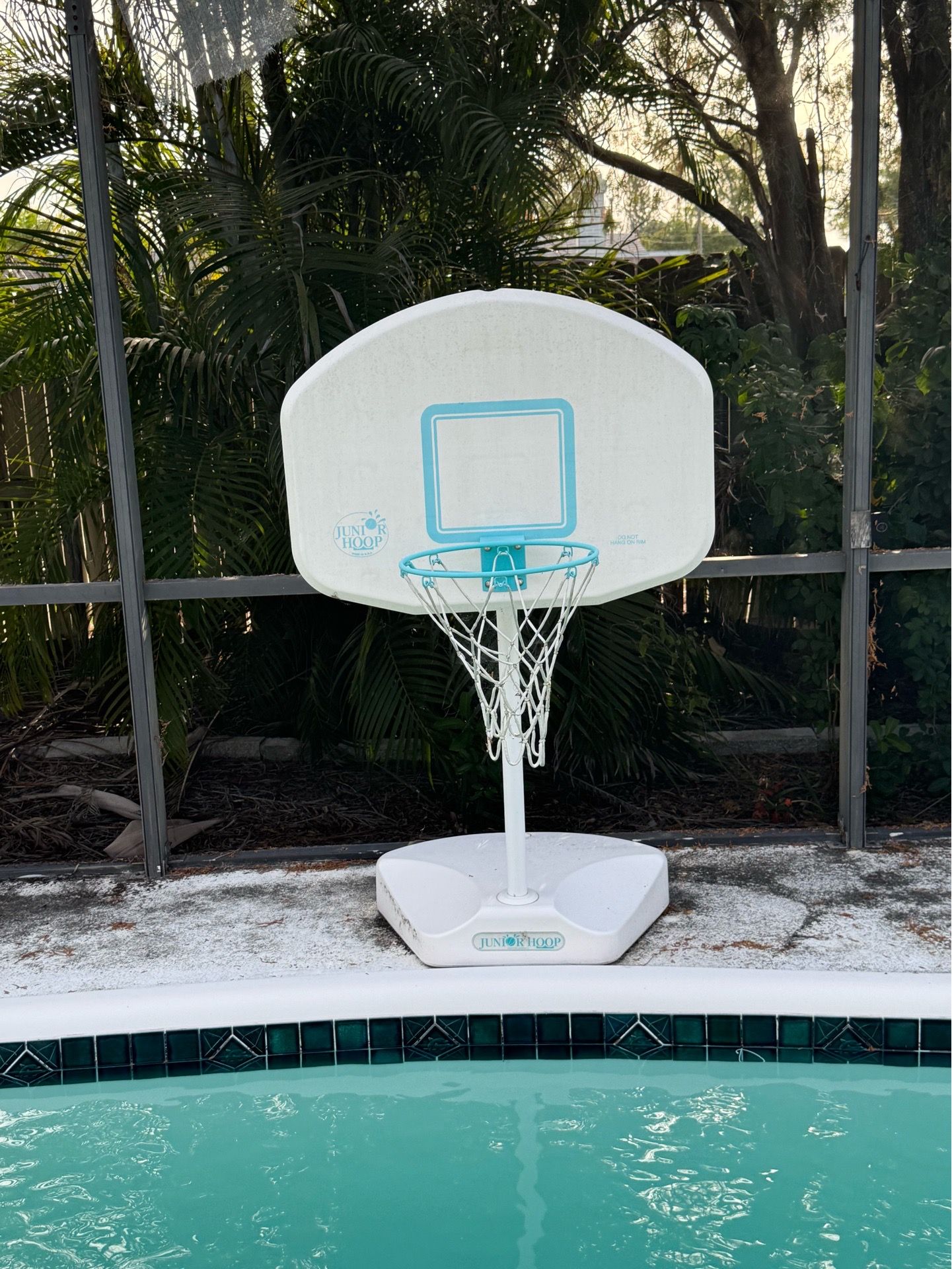 Pool basketball hoop