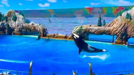 Seaworld Tickets $38/each