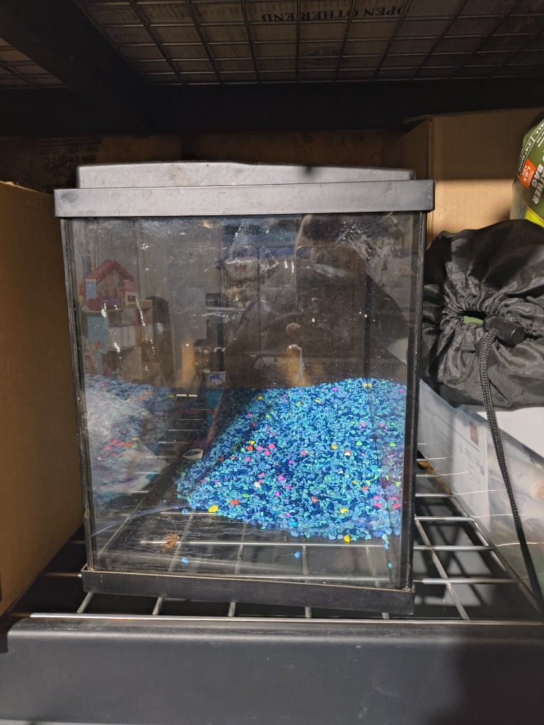 Fish Tank
