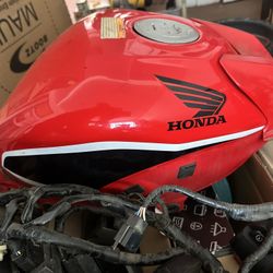 CBR300R Harness & Gas tank