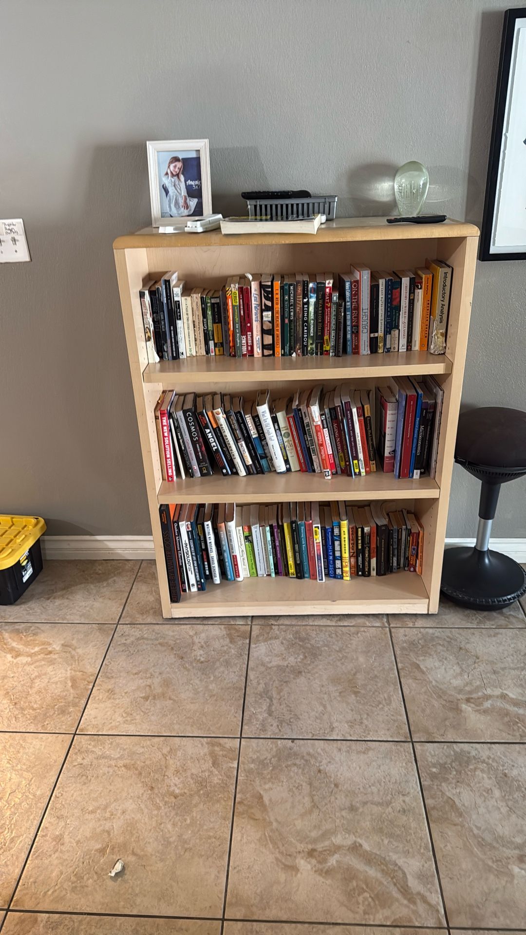 Books & Bookcases Lot – Moving Sale – Pickup Only