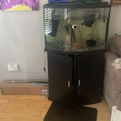 Aquarium Tank 