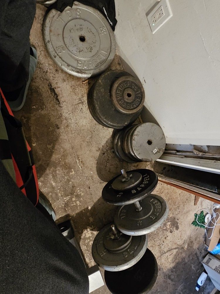 485 Lbs of Plate Weights, EZ Curl, and Dumbbells - Open To Offers