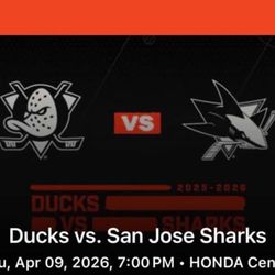 Ducks Vs San Jose Sharks