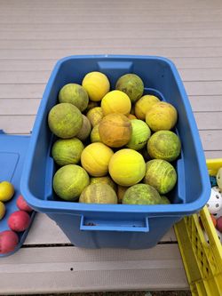 LITE-FLIGHT Softballs x 10