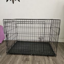 animal cage for safe travel