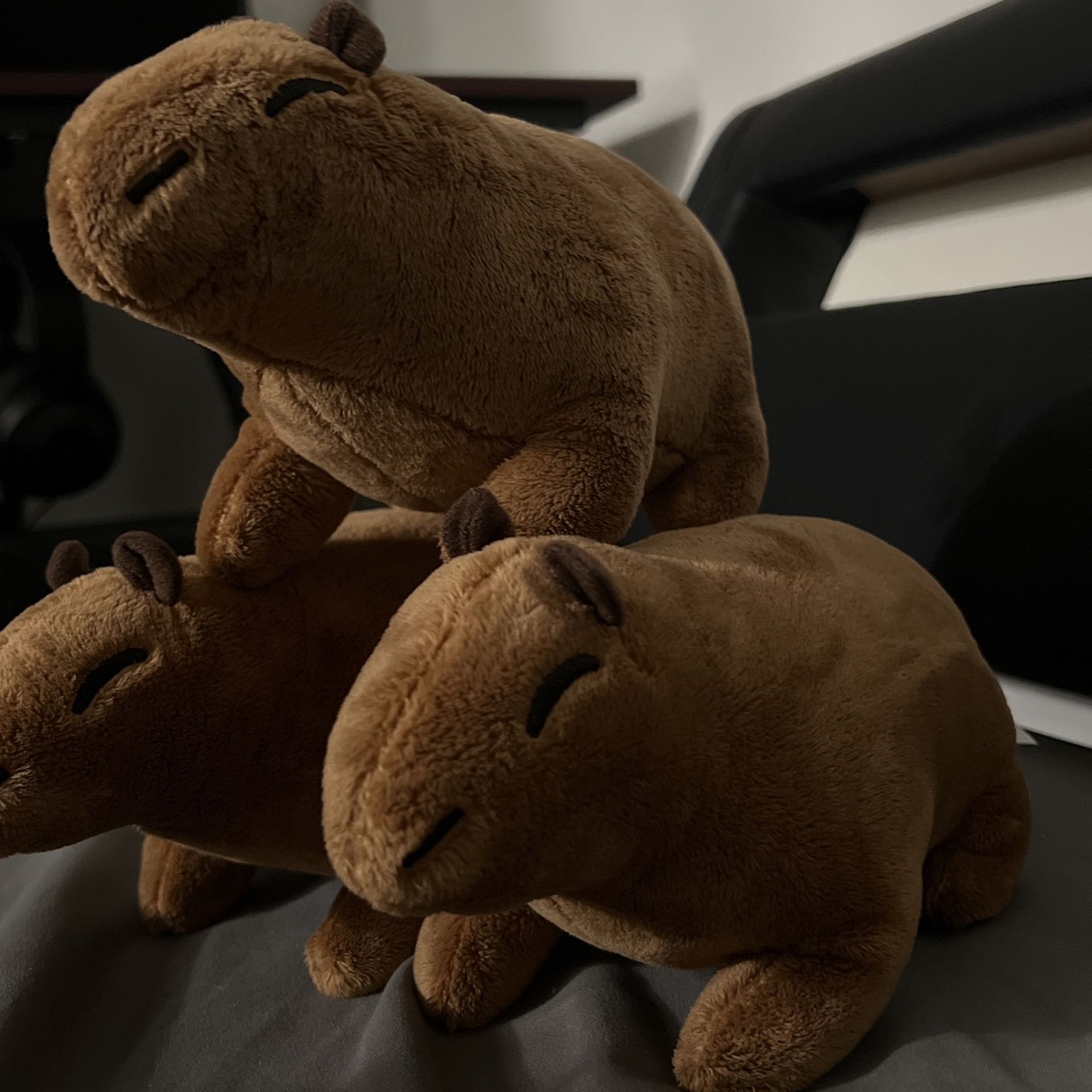 Capybara