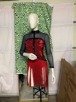 Professional Dance Costume