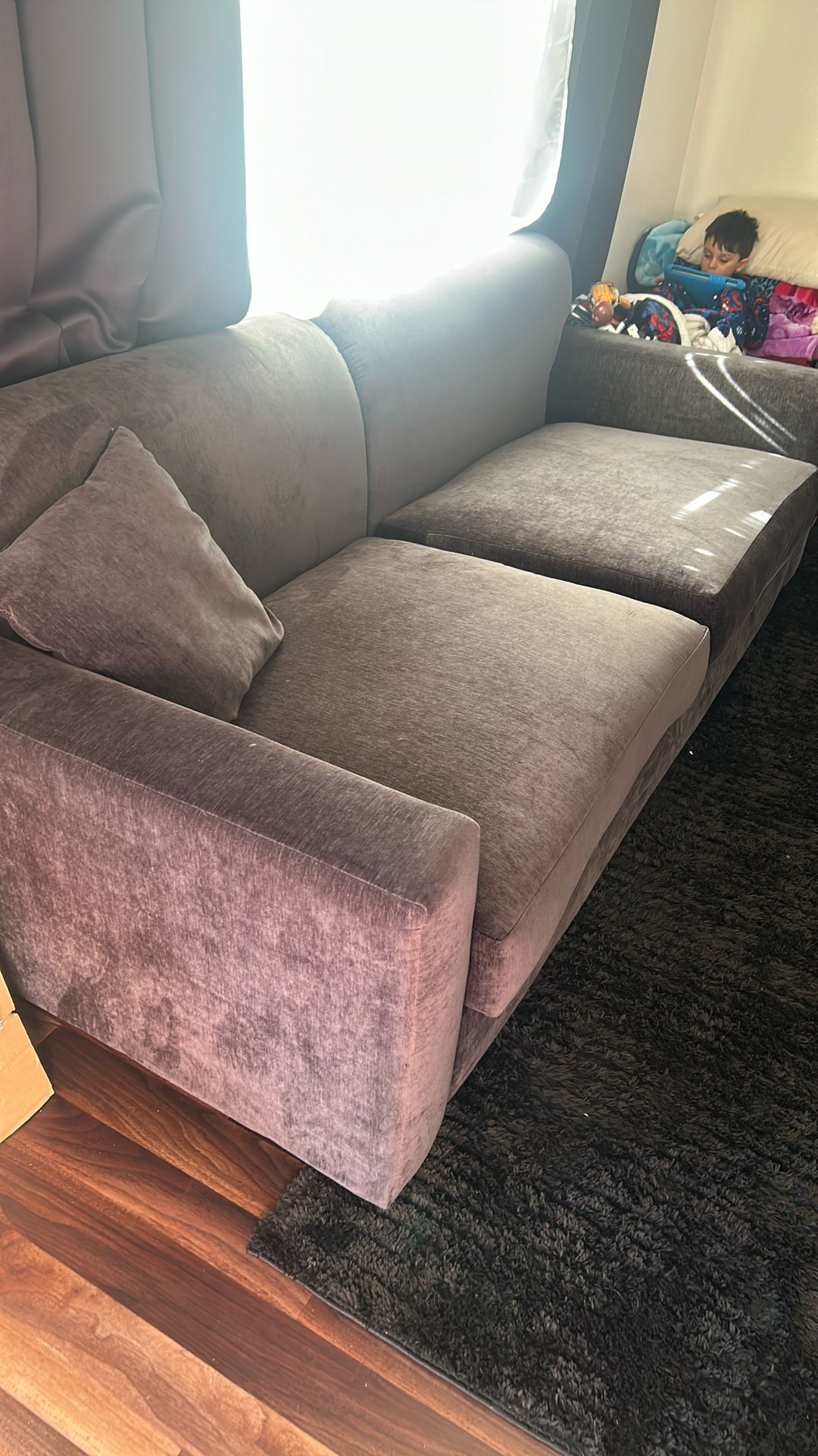 Couches With Carpet And Curtains And Dining Room Table