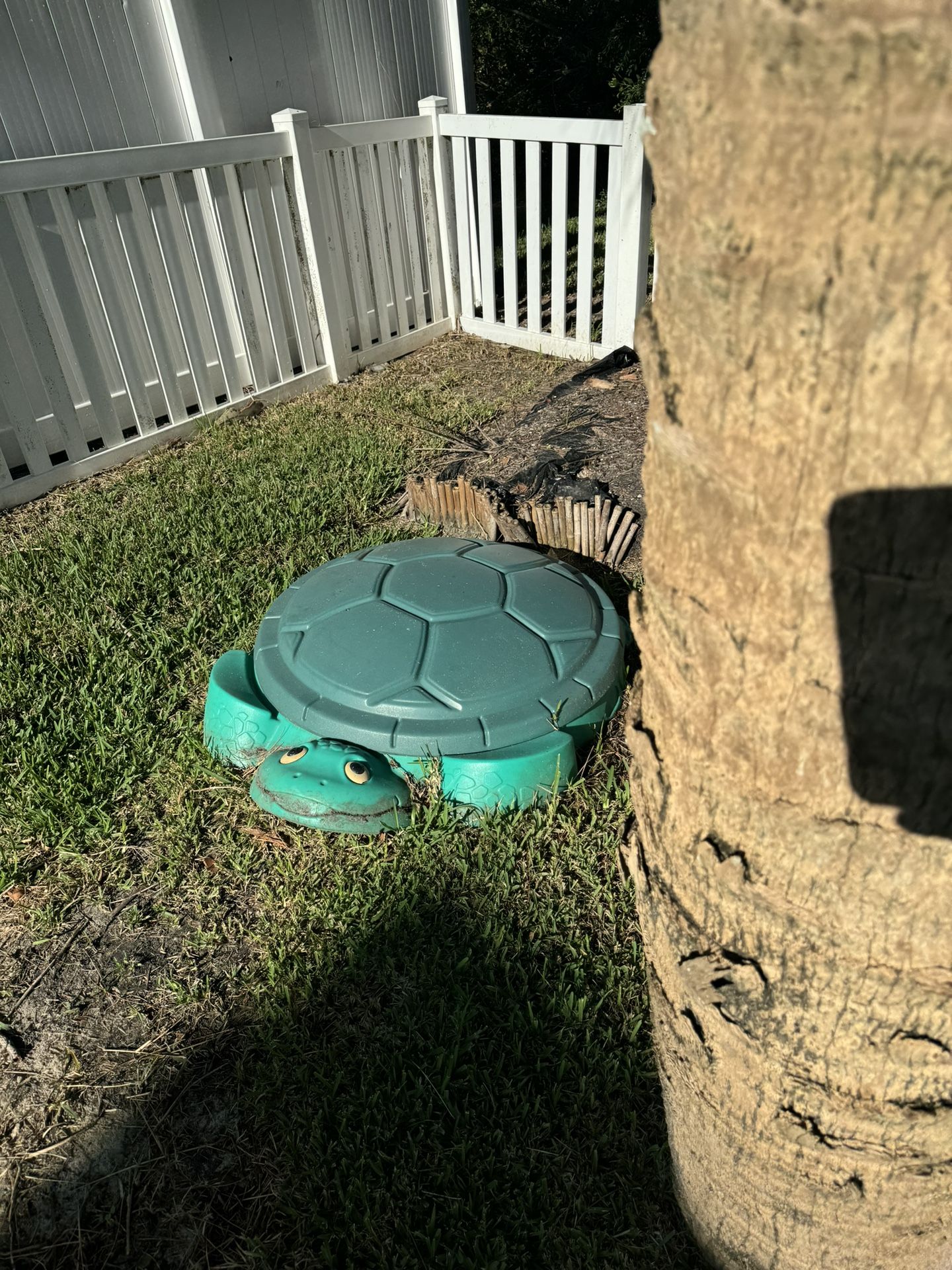 Free Sandbox