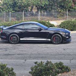 2019 Ford Shelby Gt350