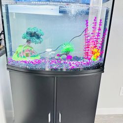 Acquarium full set/ free decoration items/36 gallon