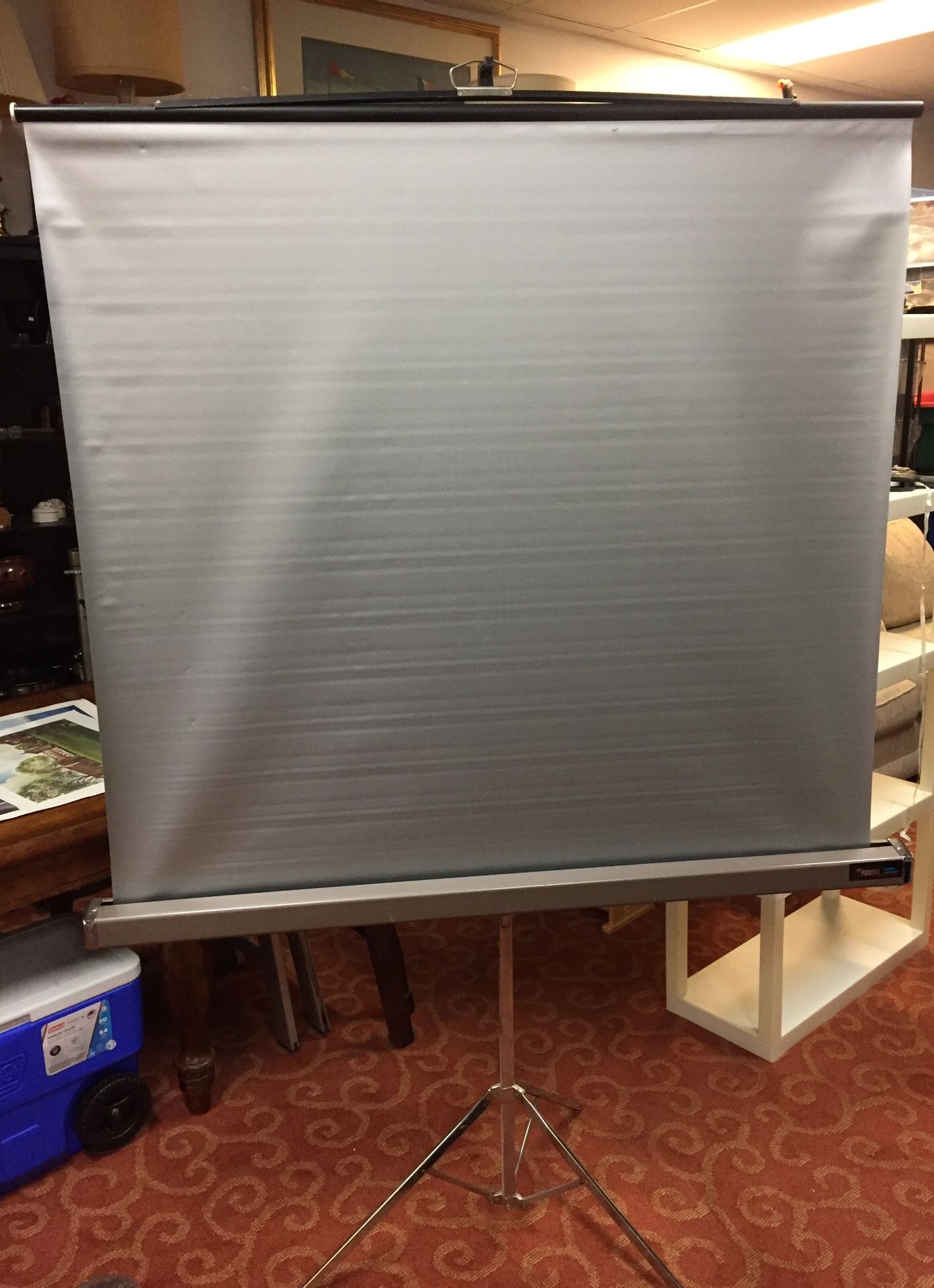 Portable Projector Screen