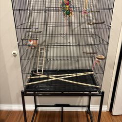 Bird Cage