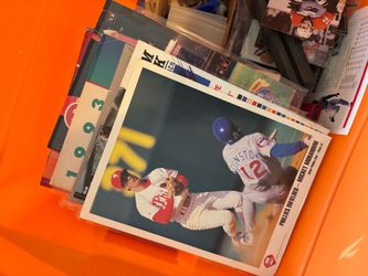 Baseball bin