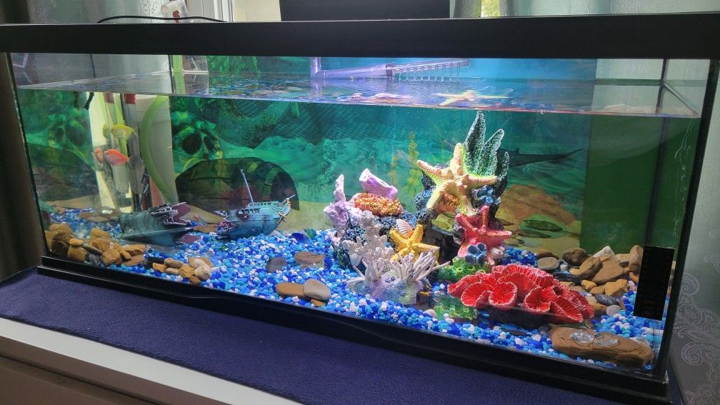 Fish Tank