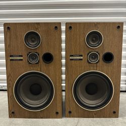 Pioneer CS-G203 Speakers