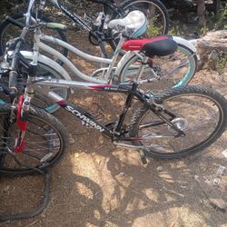 Schwinn Bicycle 50.00