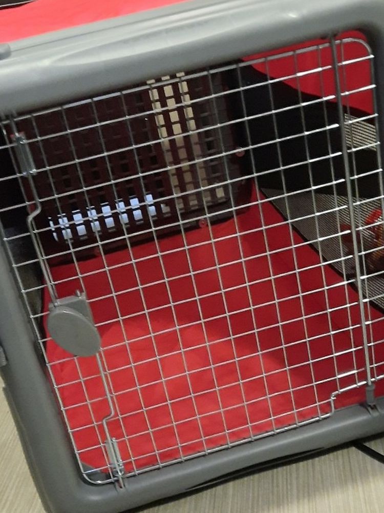 Portable Dog Crate